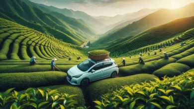 سفر با ماشین