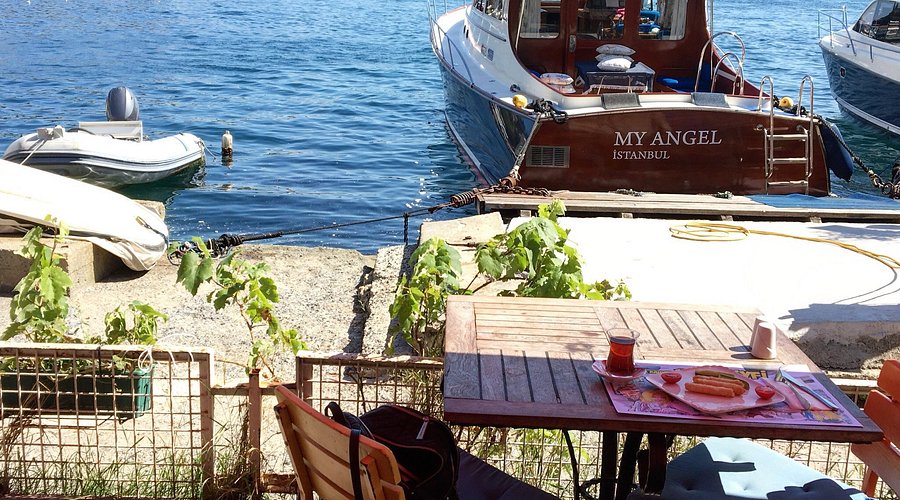 ماهیگیری در ببک